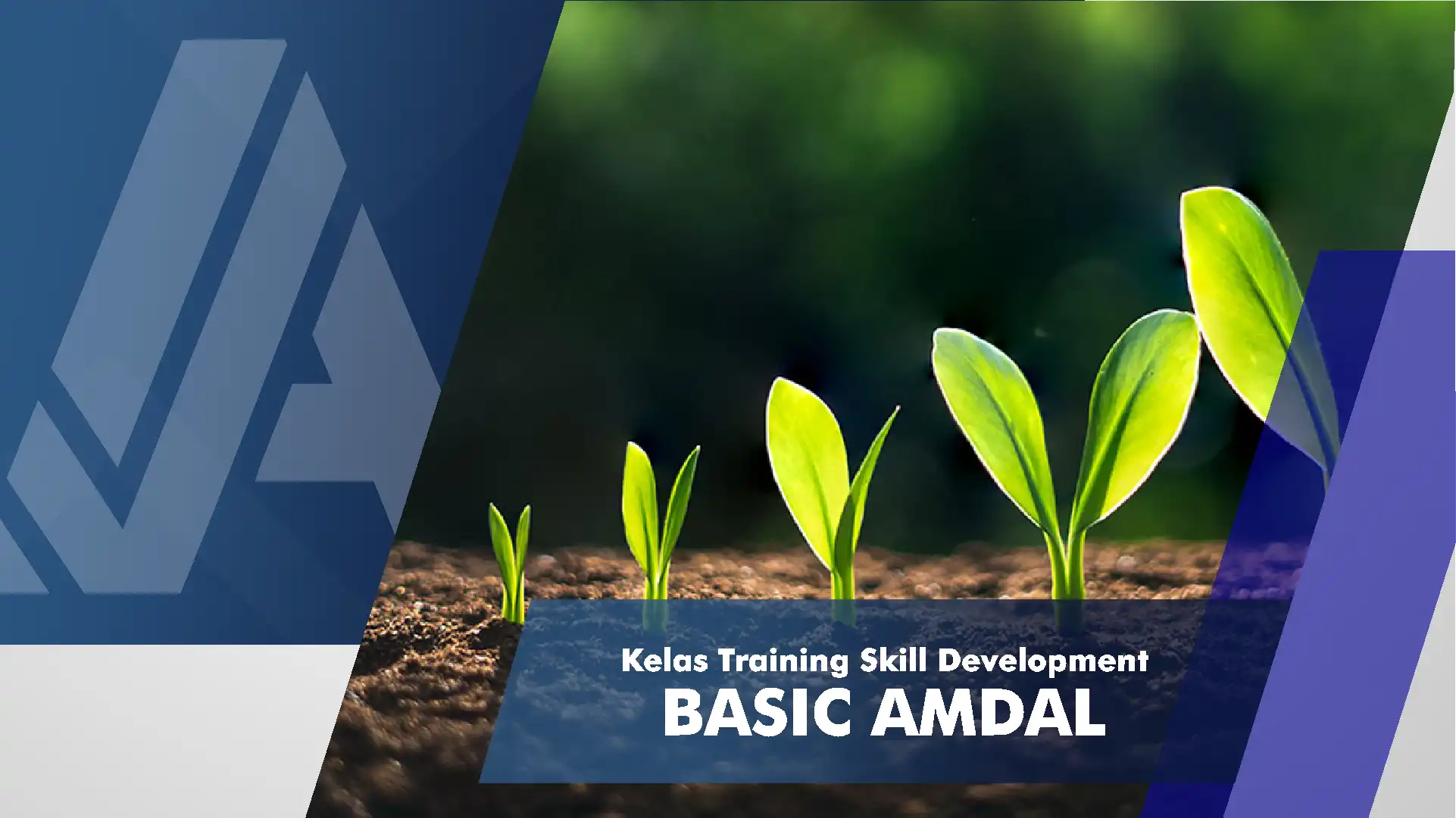 Basic Amdal